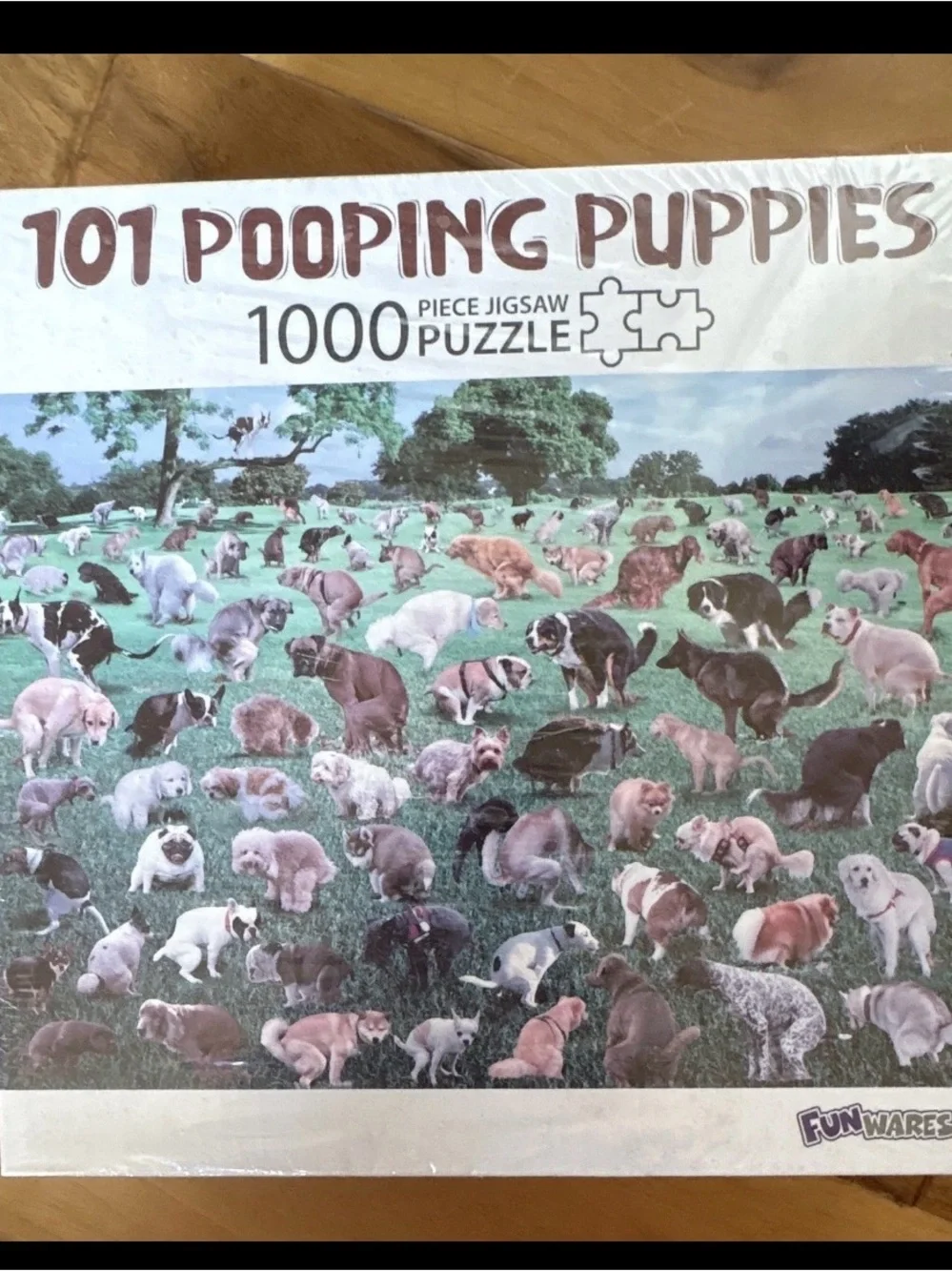 N/A 101 pooping